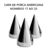 10665 a 10988 CAPA DE PORCA