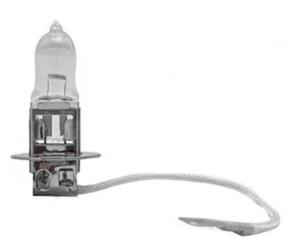 15843 LAMPADA